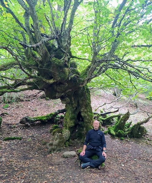 Emilio meditando en un bosque.
